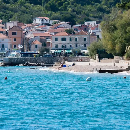 Petri * Tisno